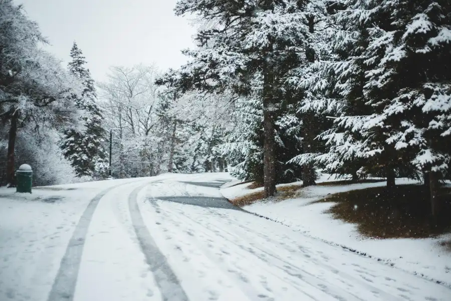 Route d'hiver et conditions de circulation froides