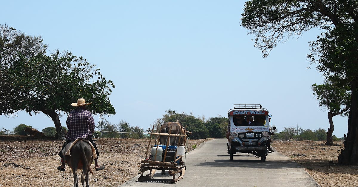 découvrez l'histoire et la culture du jeepney, le moyen de transport emblématique des philippines, connu pour ses couleurs vives et son caractère unique.