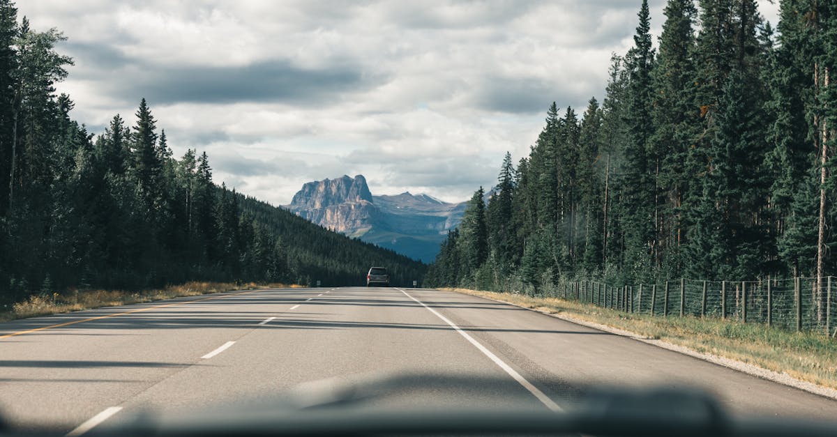 conseils essentiels et précautions à prendre pour un road trip en montagne en toute sécurité et sérénité.