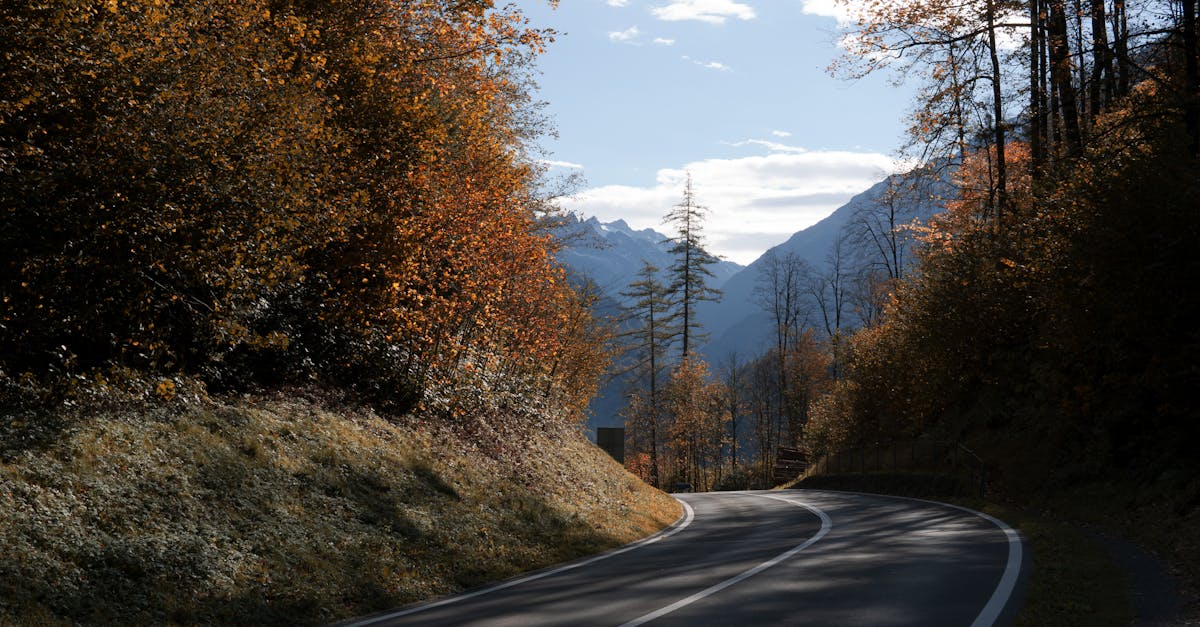 découvrez un road trip inoubliable à travers les alpes, entre paysages époustouflants, routes panoramiques et aventures en plein air. préparez votre voyage dès maintenant !