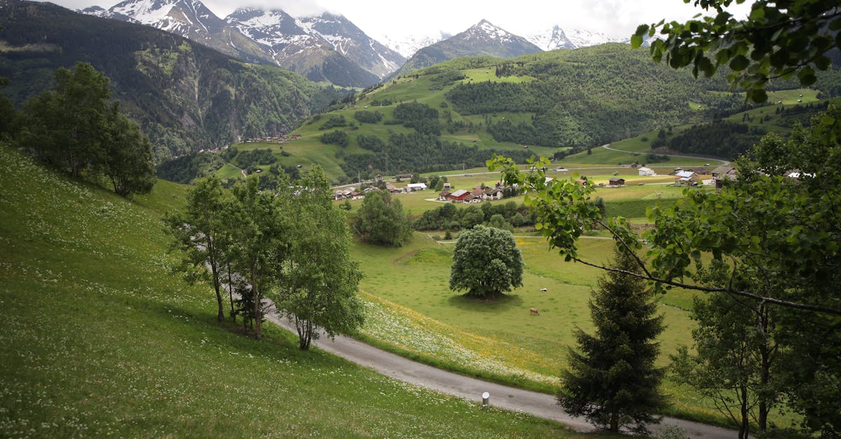 découvrez un road trip inoubliable à travers les alpes, entre paysages époustouflants, routes sinueuses et villages pittoresques.
