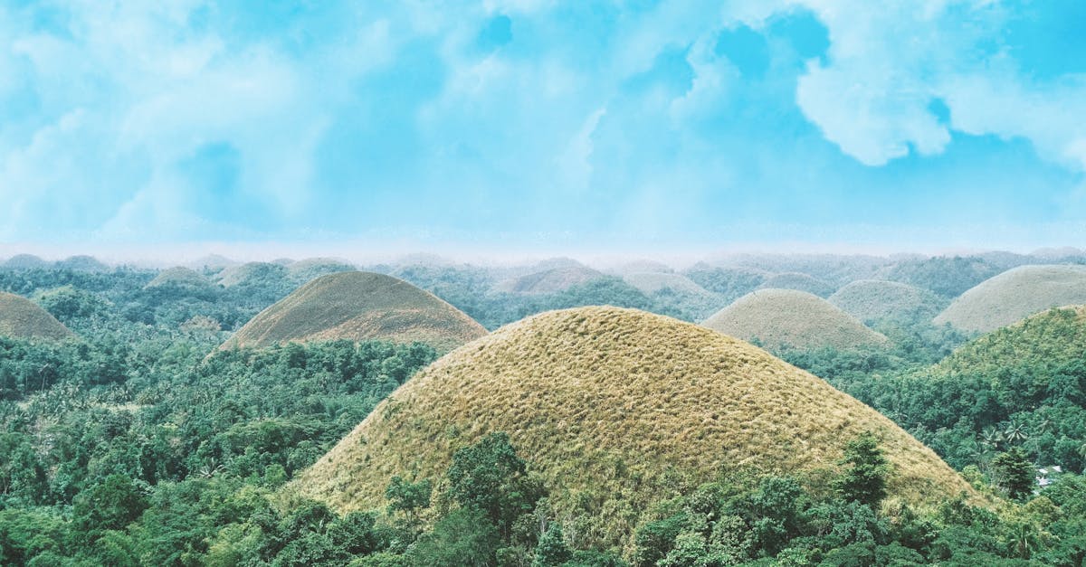 découvrez un itinéraire complet pour explorer bohol, philippines : plages paradisiaques, forêts de tarsiers, chocolate hills et activités incontournables pour un voyage inoubliable.
