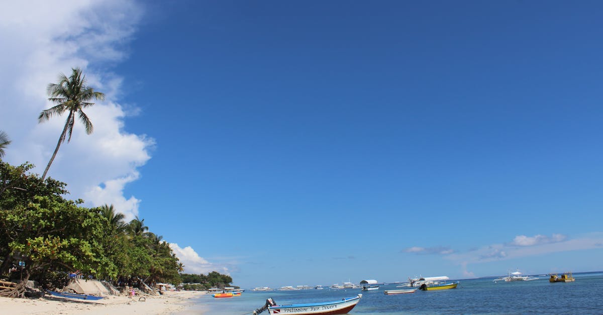 découvrez un itinéraire complet pour explorer bohol, ses plages paradisiaques, ses paysages naturels uniques et ses attractions incontournables.