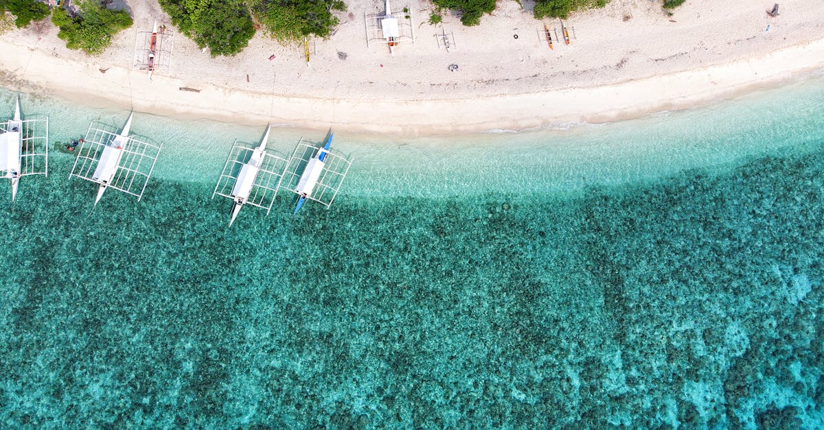 découvrez un itinéraire complet pour explorer bohol, ses plages paradisiaques, ses paysages naturels et ses attractions incontournables pour un voyage inoubliable.