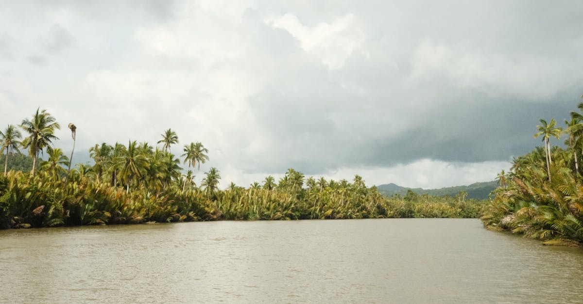 découvrez un itinéraire complet pour explorer bohol, ses plages paradisiaques, ses attractions uniques et ses activités incontournables pour un séjour mémorable.