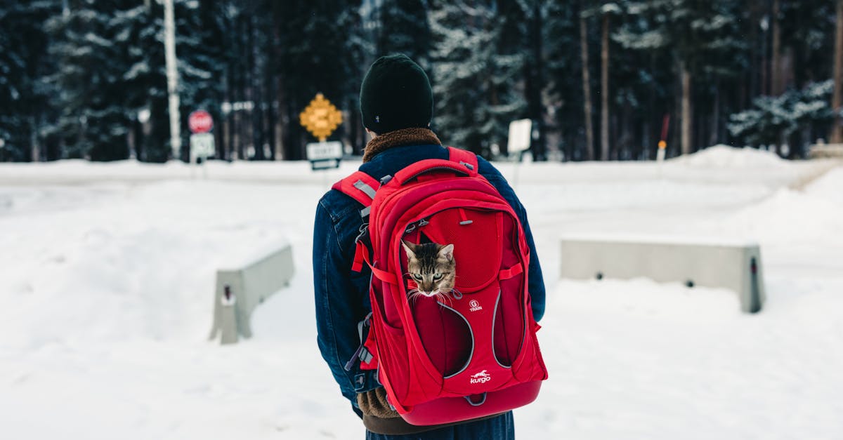 sac à dos cabine 40l : compact, léger et parfait pour voyager en toute liberté avec un maximum de rangement.