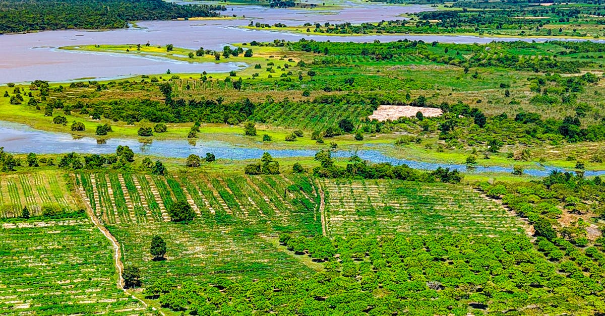 découvrez un itinéraire complet pour le cambodge, incluant les sites incontournables, conseils de voyage et astuces pour une aventure inoubliable.