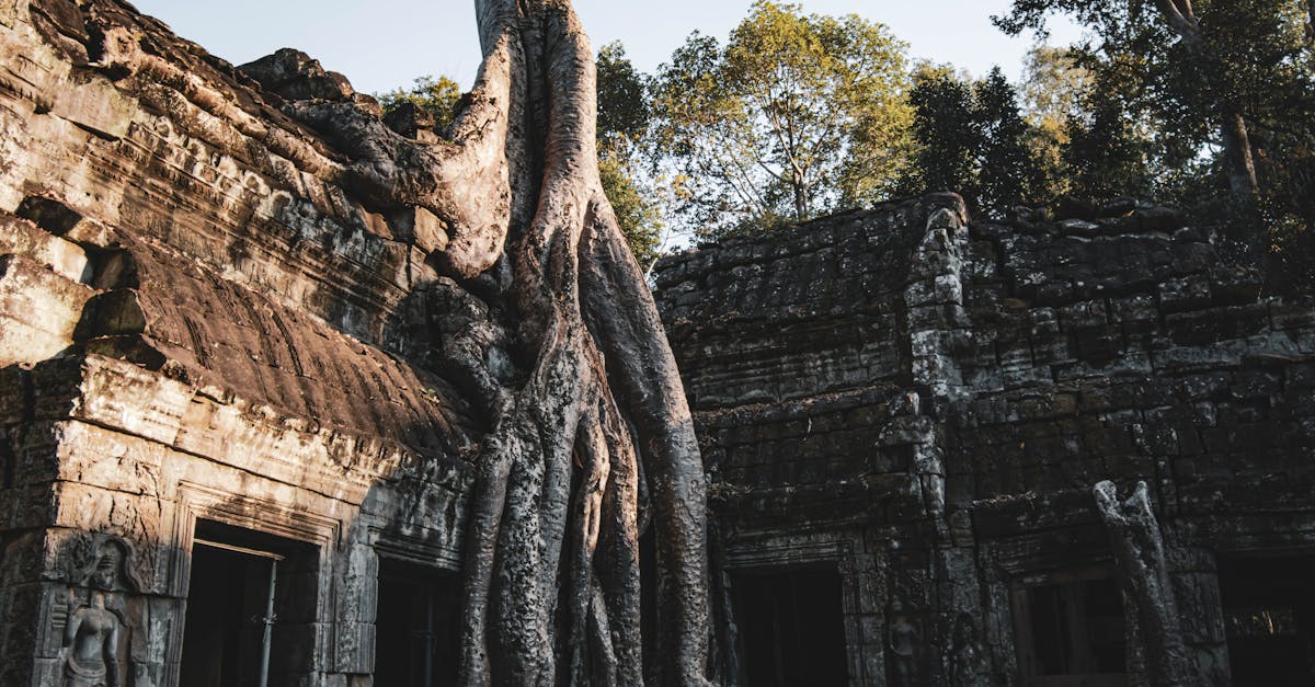 découvrez la meilleure saison pour voyager au cambodge, avec des conseils sur le climat, les festivals et les activités incontournables tout au long de l'année.