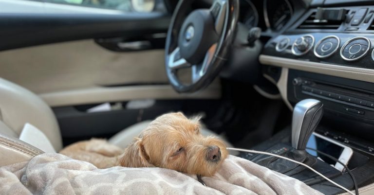 découvrez notre matelas de sommeil spécialement conçu pour la voiture, alliant confort et praticité pour des nuits reposantes lors de vos trajets et voyages.