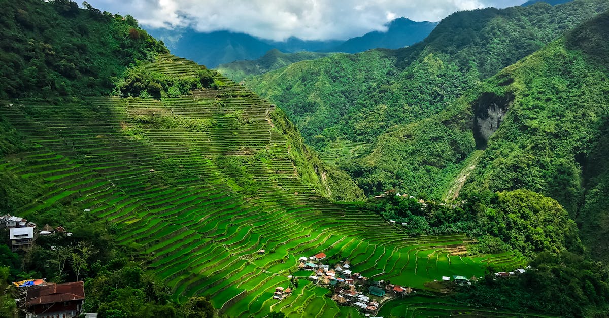 découvrez les rizières en terrasses d'ifugao, un chef-d'œuvre agricole millénaire aux philippines, classé au patrimoine mondial de l'unesco.