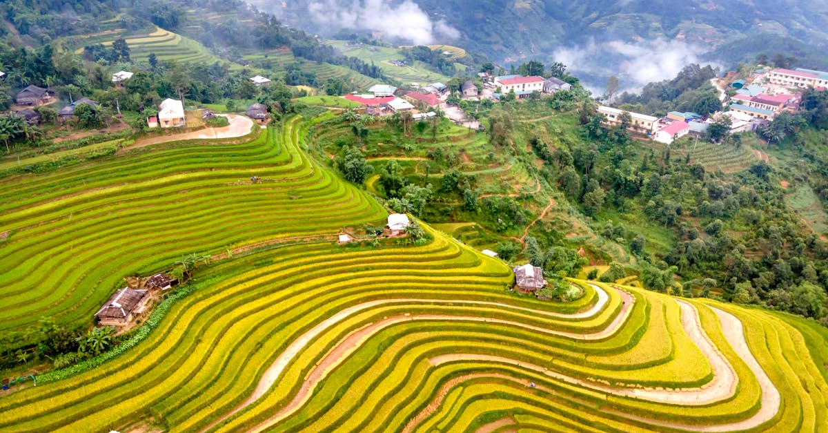 découvrez les magnifiques terrasses de riz d'ifugao, un chef-d'œuvre ancestral sculpté dans les montagnes des philippines, symbole d'ingéniosité et de patrimoine culturel unique.