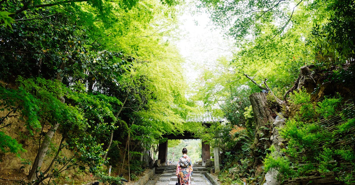découvrez le charme du printemps à kyoto avec nos activités de loisirs et visites incontournables pour une expérience unique.