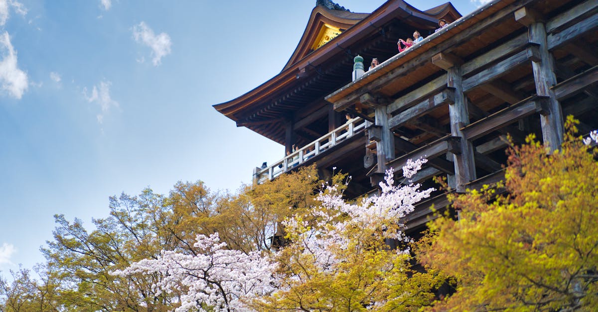 découvrez le plaisir du printemps à kyoto : entre fleurs de cerisier, balades paisibles et activités de loisirs pour un séjour inoubliable.