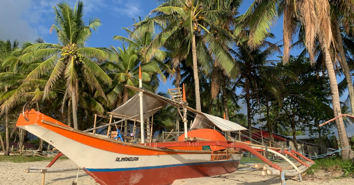 découvrez un itinéraire hors des sentiers battus aux philippines, alliant aventures uniques, lieux secrets et expériences authentiques pour un voyage inoubliable.