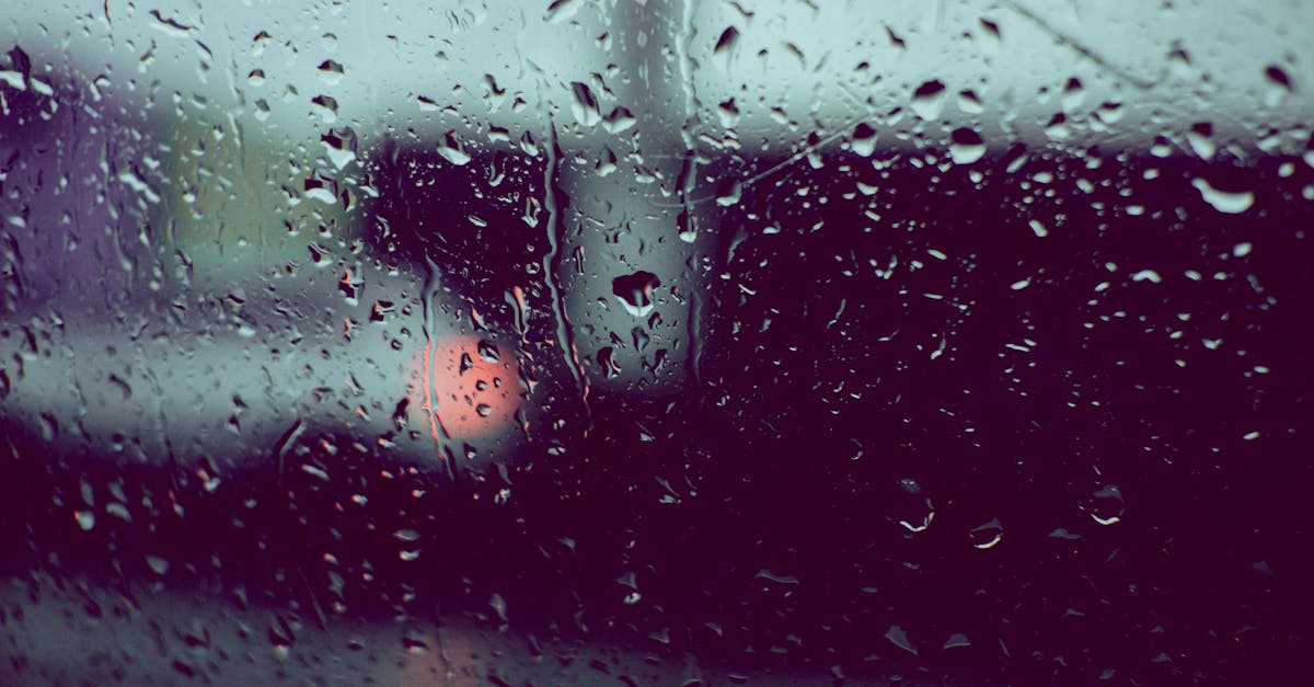 découvrez tout sur la saison des pluies : météo, conseils pour bien la traverser, activités adaptées et impact sur la nature et la vie quotidienne.