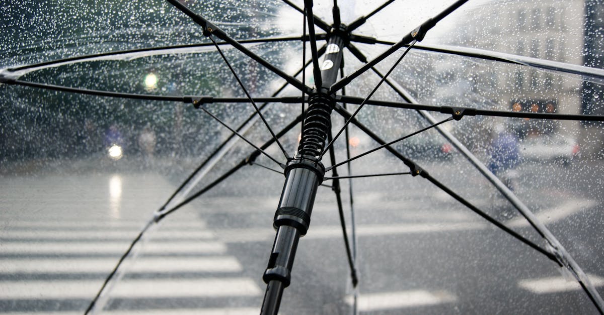 découvrez tout sur la saison des pluies : conseils, prévisions et astuces pour bien préparer vos journées pluvieuses.