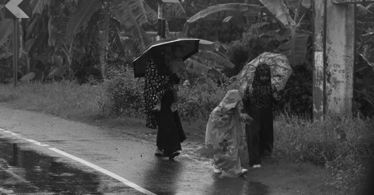 découvrez tout ce qu'il faut savoir sur la saison des pluies, ses caractéristiques, ses effets sur l'environnement et comment bien s'y préparer.