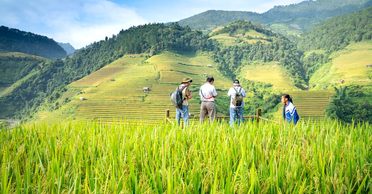 découvrez le tourisme régénératif, une approche durable qui vise à restaurer les écosystèmes, soutenir les communautés locales et favoriser un impact positif durable lors de vos voyages.
