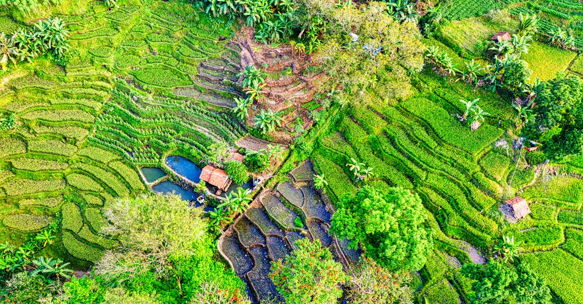 le tourisme régénératif : un voyage responsable qui favorise la restauration de l'environnement, le soutien des communautés locales et la préservation des cultures.