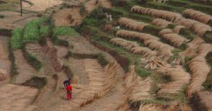 découvrez le tourisme régénératif, une approche durable qui vise à restaurer les écosystèmes, soutenir les communautés locales et préserver les ressources naturelles pour les générations futures.