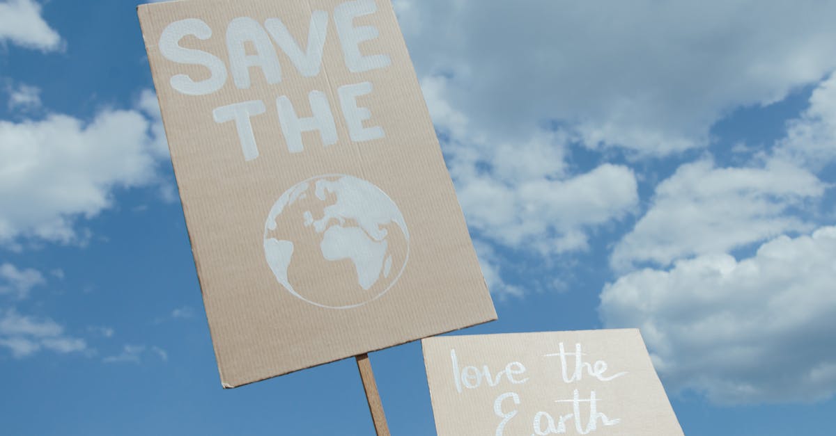 découvrez le hosting responsable : des solutions d'hébergement web écologiques et éthiques pour un impact environnemental réduit et une gestion durable de vos données.