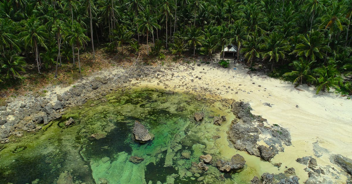 découvrez les meilleures activités à siargao, de la pratique du surf aux excursions en pleine nature, pour une aventure inoubliable aux philippines.