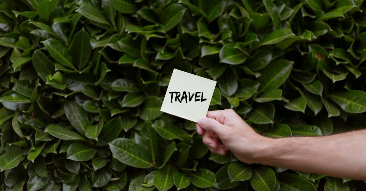 découvrez le slow travel, une approche de voyage qui privilégie la lenteur, l'immersion culturelle et la découverte authentique pour un séjour enrichissant et durable.
