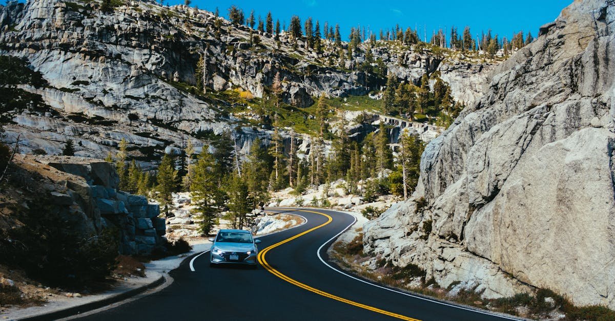 conseils essentiels pour gérer la chaleur lors de votre road trip estival et rester au frais tout au long du voyage.