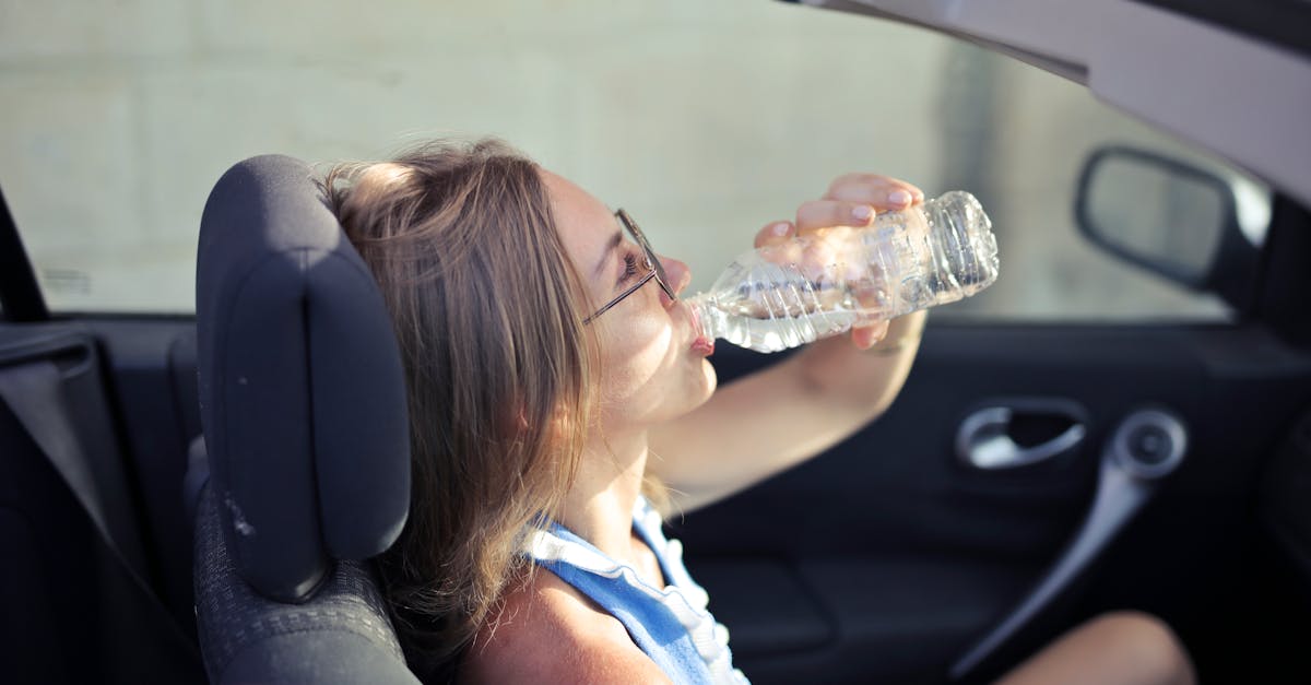 Road trip en été : comment gérer la chaleur dans la voiture