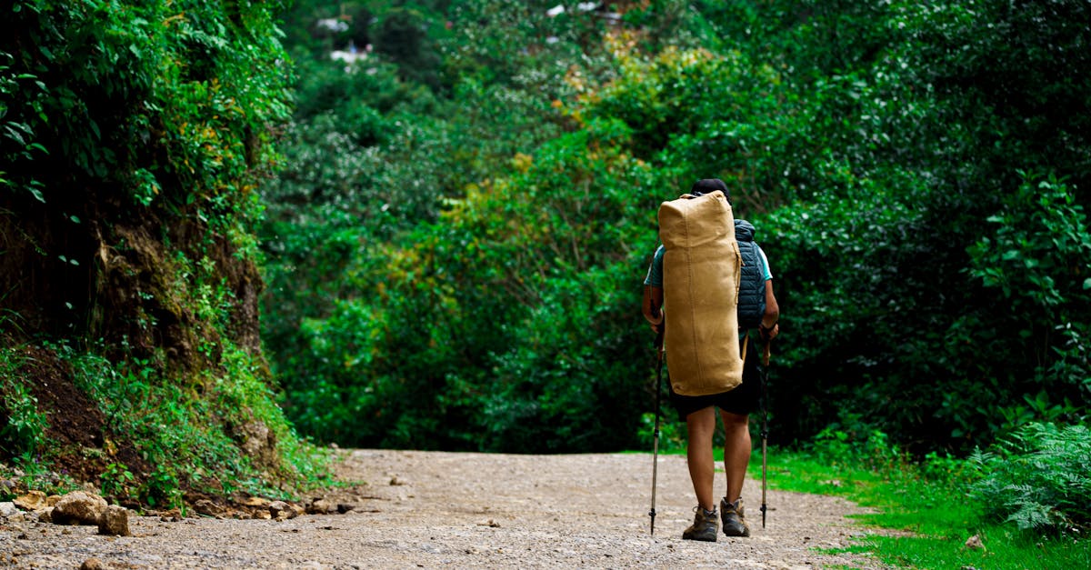 découvrez le tourisme durable : des pratiques respectueuses de l'environnement, favorisant la conservation des ressources naturelles et le soutien des communautés locales pour des voyages responsables.