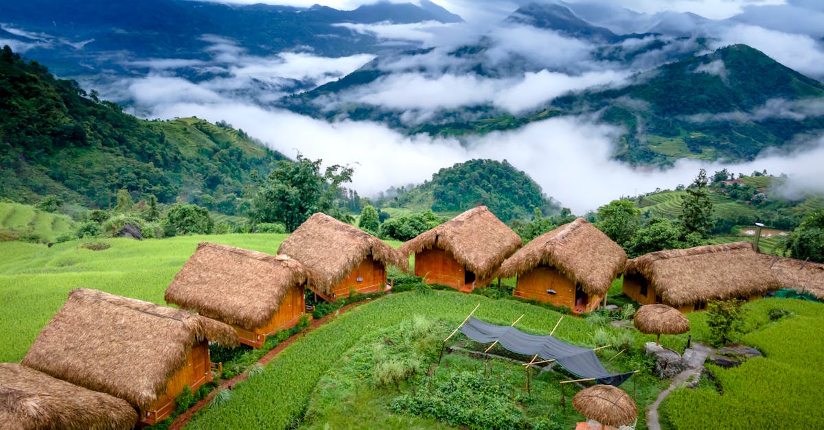 découvrez le tourisme durable : explorez des pratiques respectueuses de l'environnement, soutenez les communautés locales et préservez les ressources naturelles pour un voyage responsable et enrichissant.