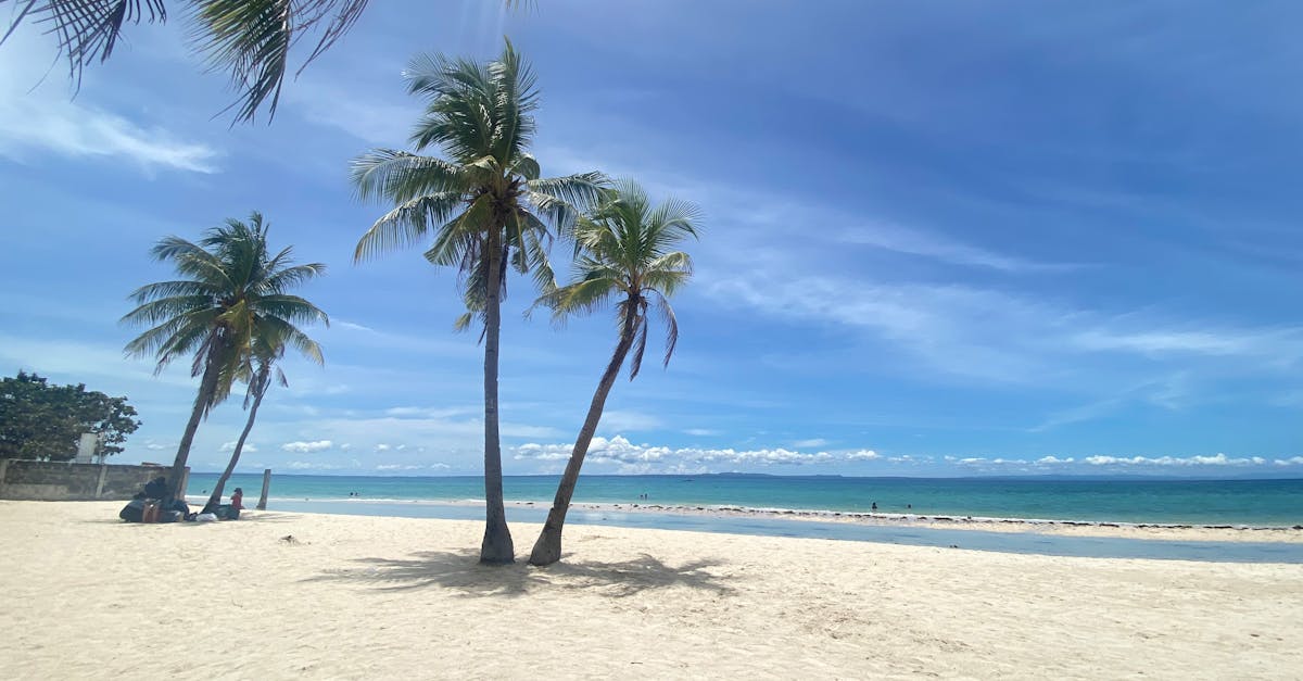 découvrez les meilleures activités de voyage à cebu moalboal : plongée avec les sardines, snorkeling, visites de plages paradisiaques et aventures inoubliables au cœur des philippines.