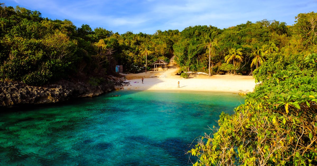 découvrez les meilleures activités de voyage à cebu et moalboal : plongée avec les tortues, exploration des cascades, snorkeling et aventures inoubliables au cœur des philippines.