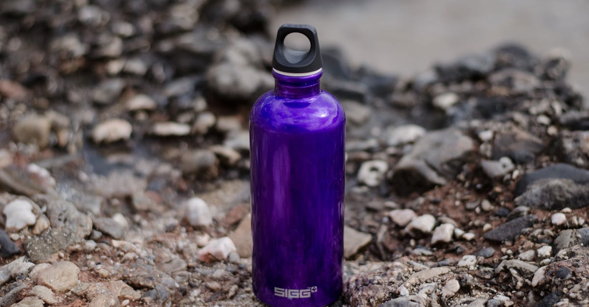 bouteille filtrante d'eau de voyage : profitez d'une eau pure et saine où que vous soyez grâce à notre bouteille filtrante pratique et légère, idéale pour vos aventures en plein air.